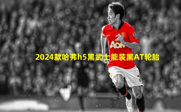 2024款哈弗h5黑武士能装黑AT轮胎