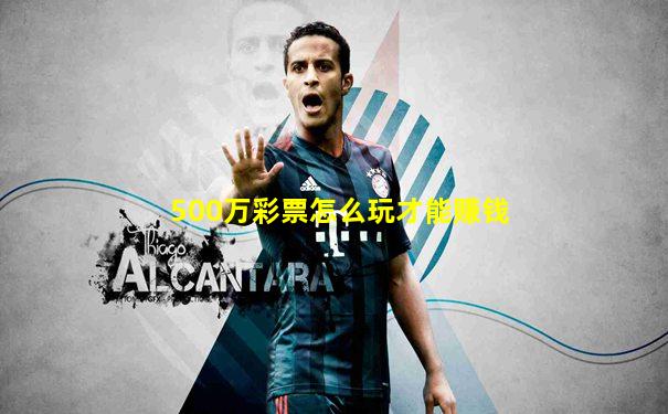 500万彩票怎么玩才能赚钱