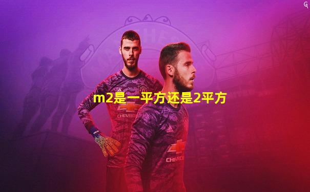 m2是一平方还是2平方