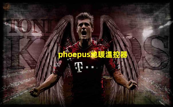 phoepus地暖温控器