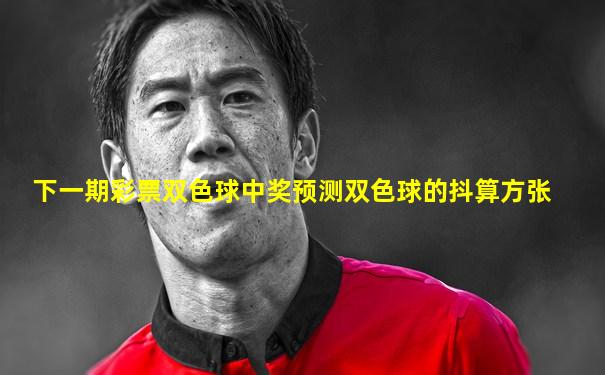 下一期彩票双色球中奖预测双色球的抖算方张