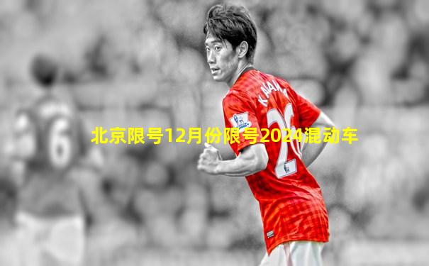 北京限号12月份限号2024混动车