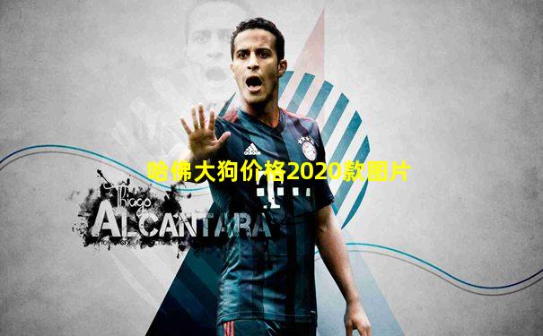 哈佛大狗价格2020款图片