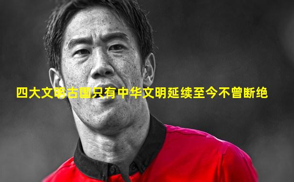 四大文明古国只有中华文明延续至今不曾断绝