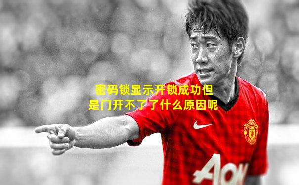密码锁显示开锁成功但是门开不了了什么原因呢