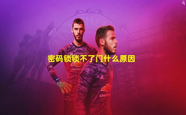 密码锁锁不了门什么原因