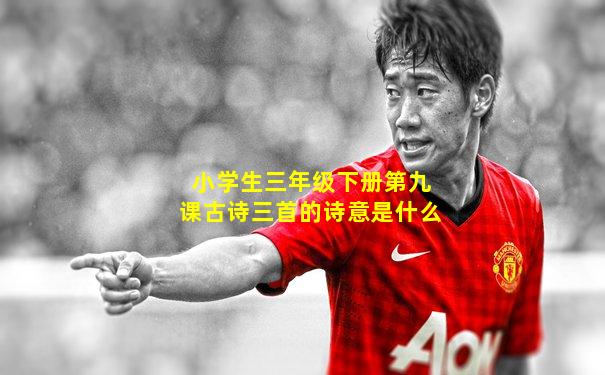 小学生三年级下册第九课古诗三首的诗意是什么