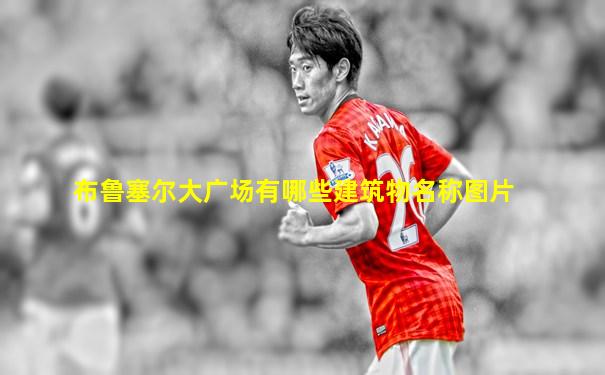 布鲁塞尔大广场有哪些建筑物名称图片
