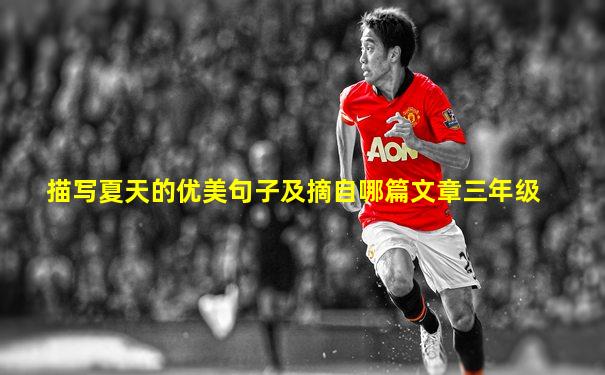 描写夏天的优美句子及摘自哪篇文章三年级