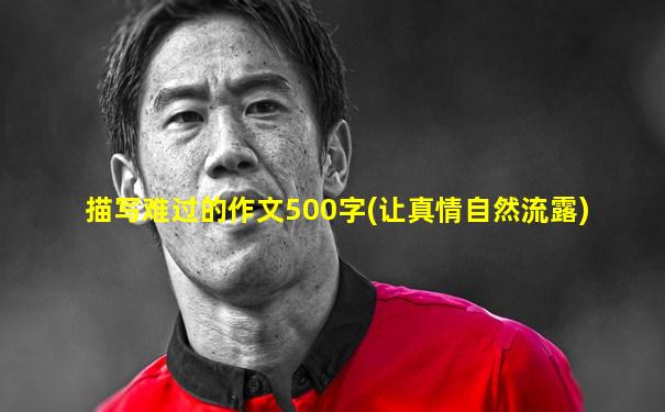 描写难过的作文500字(让真情自然流露)
