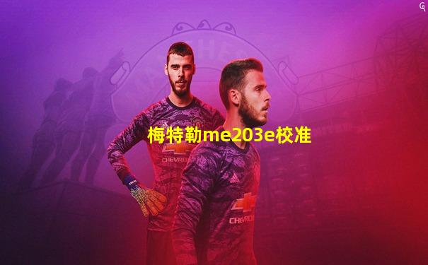 梅特勒me203e校准