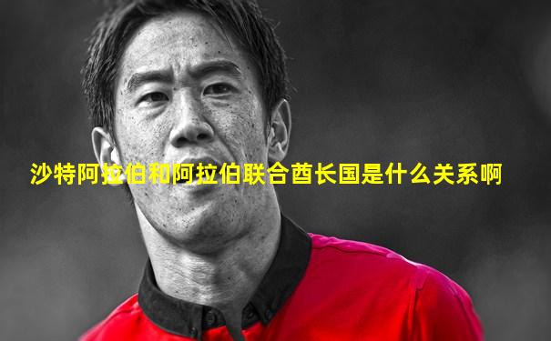 沙特阿拉伯和阿拉伯联合酋长国是什么关系啊
