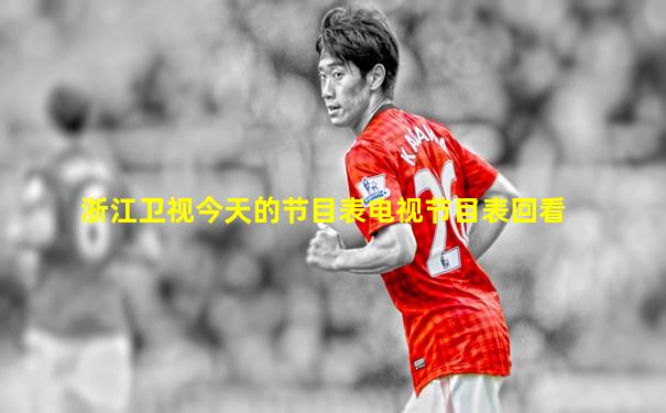 浙江卫视今天的节目表电视节目表回看