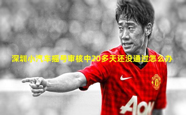 深圳小汽车摇号审核中20多天还没通过怎么办