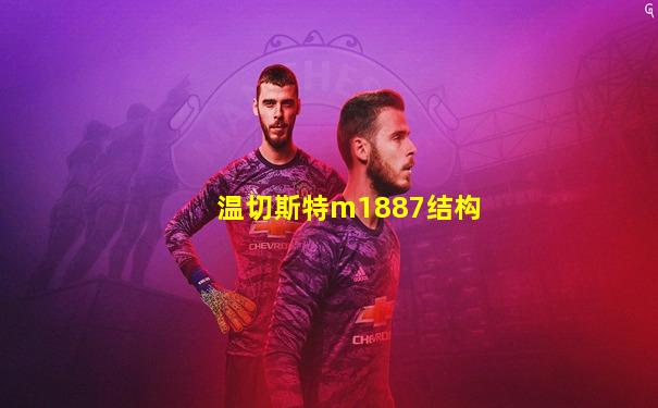 温切斯特m1887结构