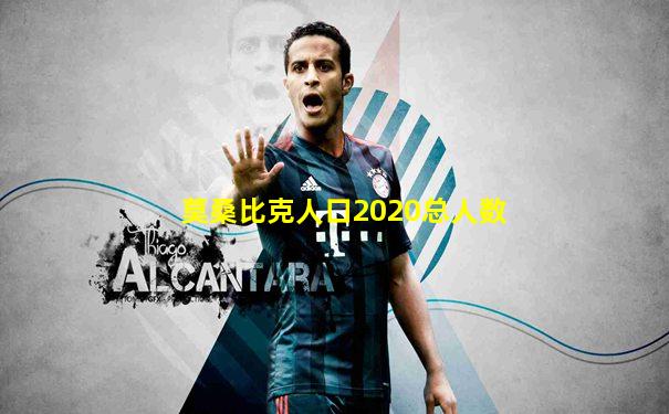 莫桑比克人口2020总人数