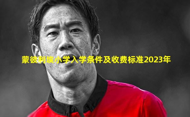 蒙彼利埃小学入学条件及收费标准2023年