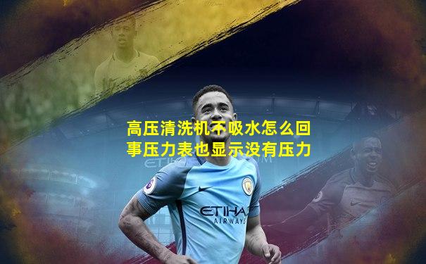 高压清洗机不吸水怎么回事压力表也显示没有压力