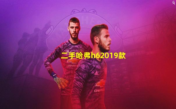 二手哈弗h62019款