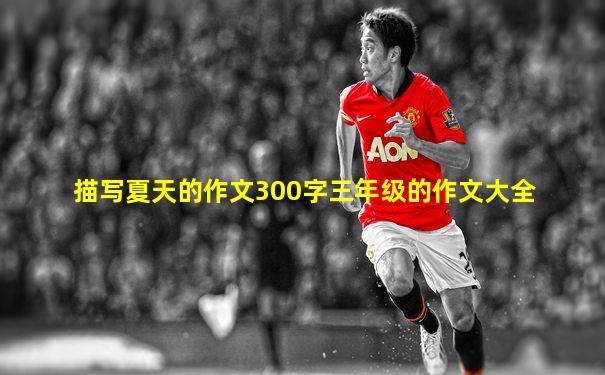 描写夏天的作文300字三年级的作文大全
