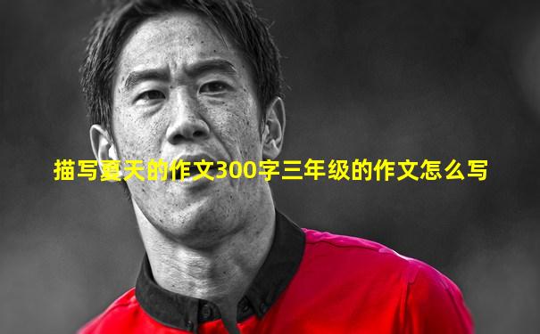 描写夏天的作文300字三年级的作文怎么写