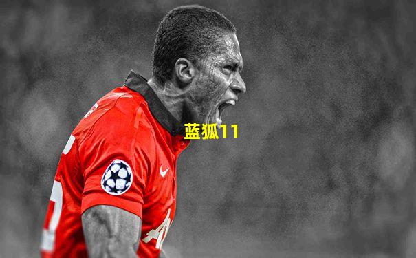 蓝狐11